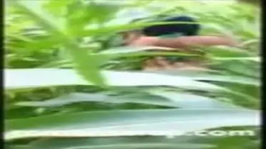 Gadis Cantik Pasrah Goyang Kasur Kebun Sepi poster